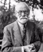 Sigmund Freud (1856 - 1939)