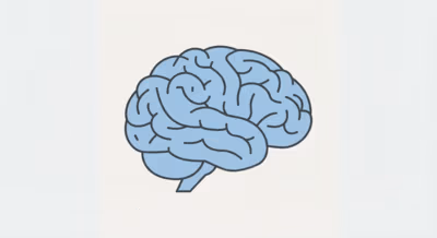 Brain